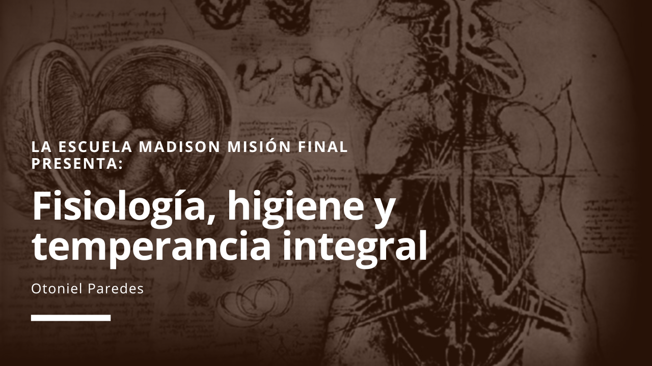 Las grasas en el cuerpo