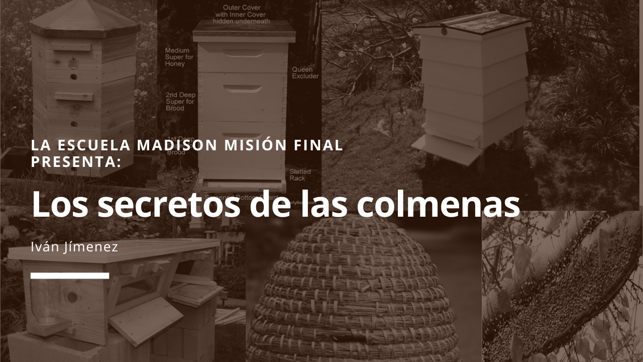 Concepto de Apicultura