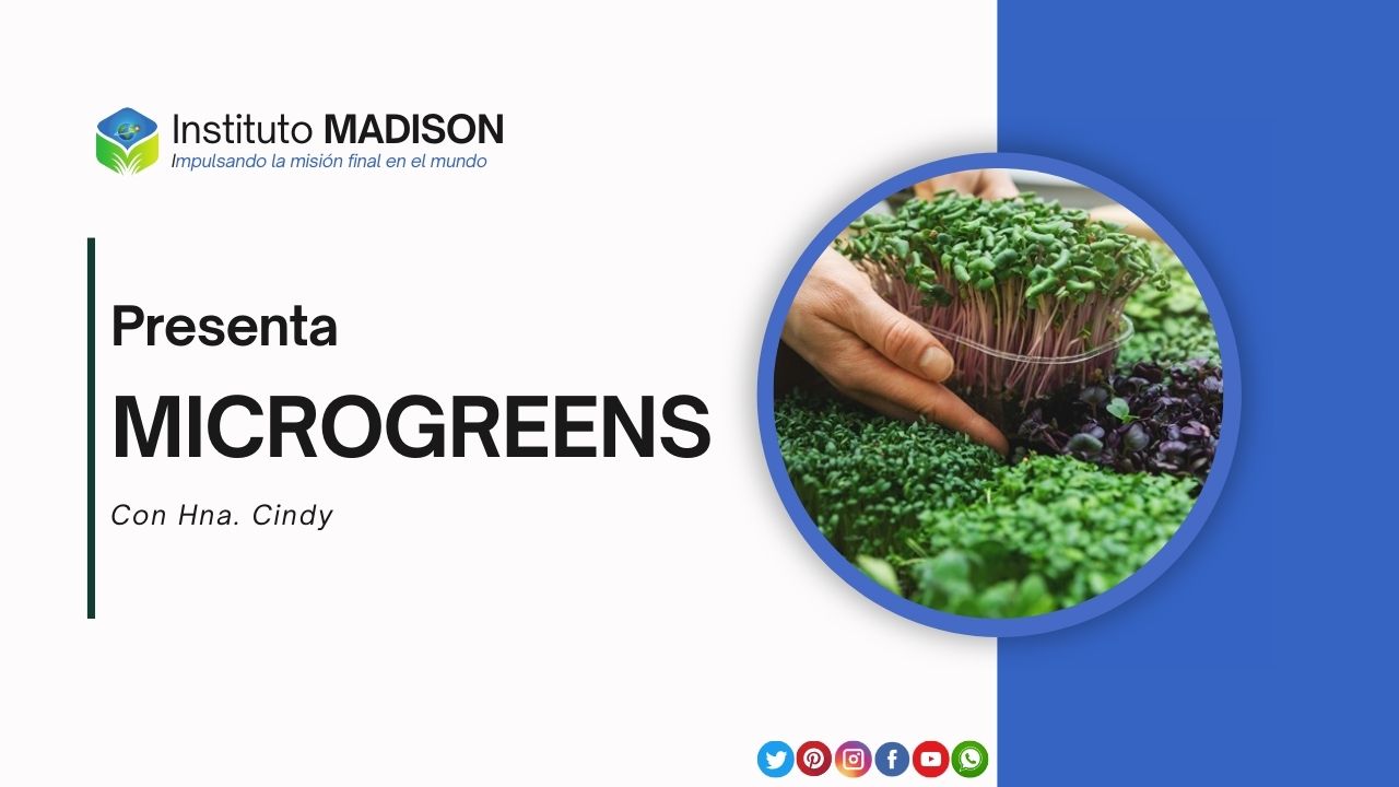 Desde la propagación hasta la siembra lunar