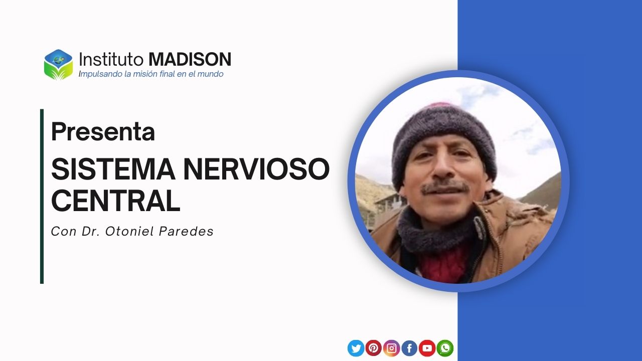 Explorando el cerebro, el corazón y el lenguaje