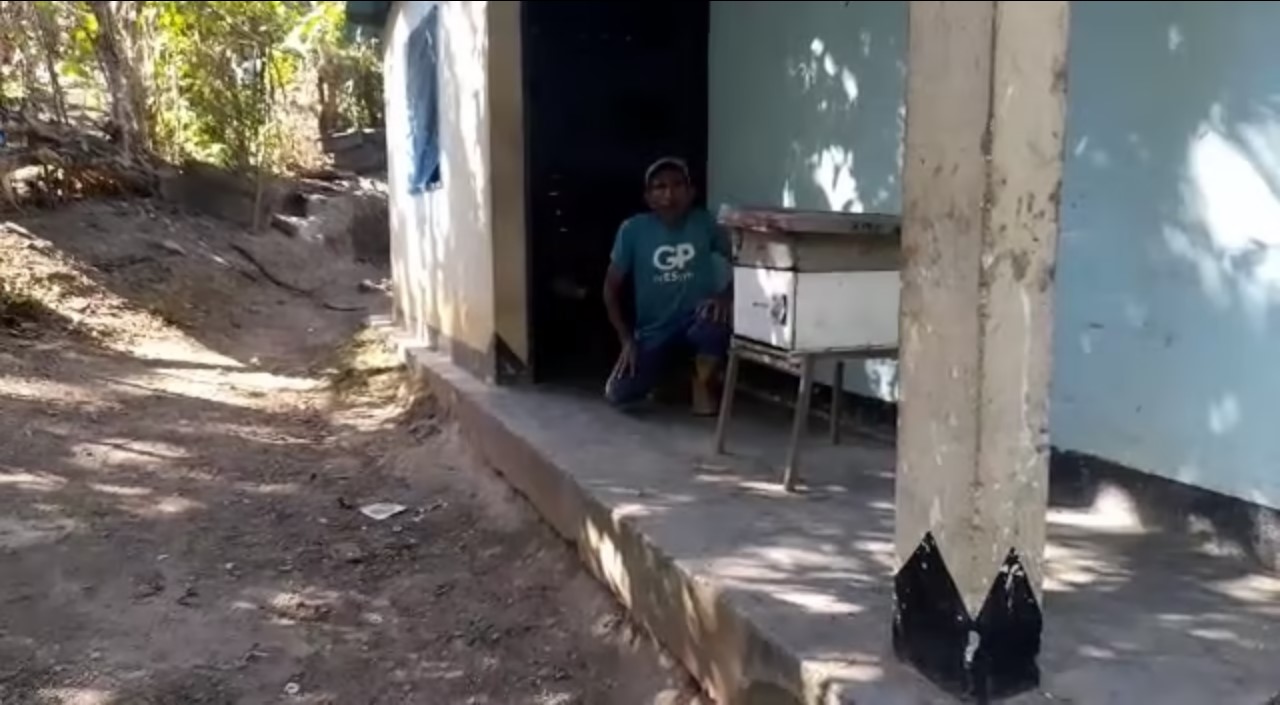 Captura de enjambre silvestre