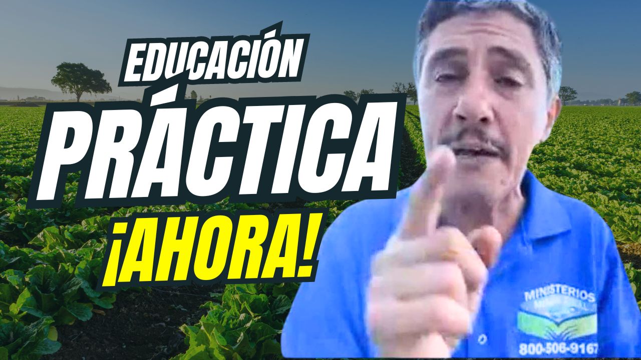 Educación práctica ¡Ahora!